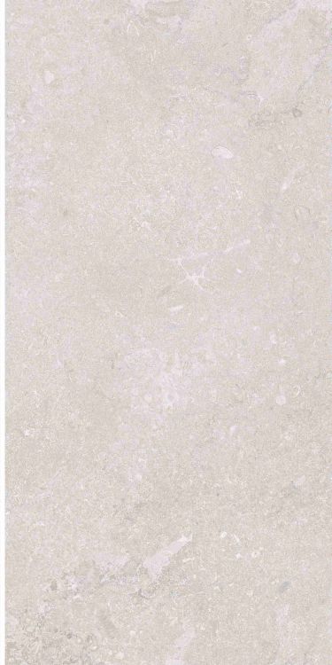 OL Port Land Stone Greige Matte 12 x 24